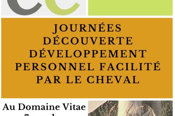 Journées découvertes et développement par le cheval (COMPLET)